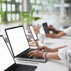 Application Development