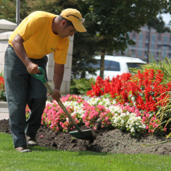 Flower Bed Edging and Redefining Service