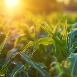 Farm Insurance