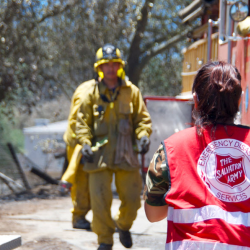 Help Disaster Survivors 