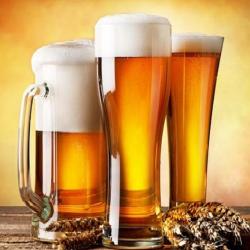Beer
