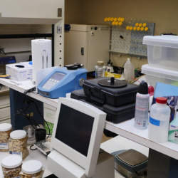 Laboratory