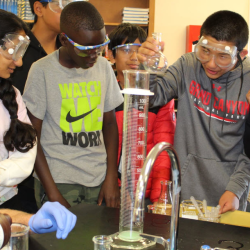 Science & Technology