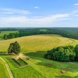 Ranches Properties