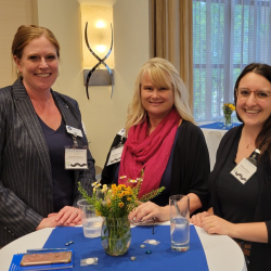 Survey Dissemination and Analysis