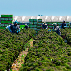 Agricultural Product Handling