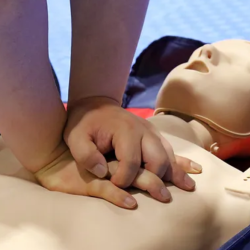 CPR/BLS Certification