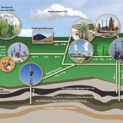 Electric Vehicle and Clean Energy Hub