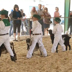 Colusa Farm Show