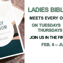 Ladies Bible Study
