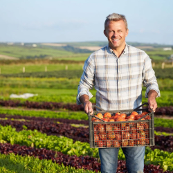 Crop Insurance / Multi-Peril Insurance