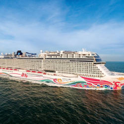 Cruise