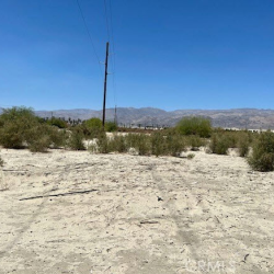 My Company's Active Listings