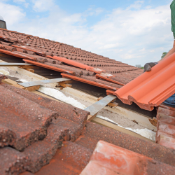 Roof Cleaning and Maintenance
