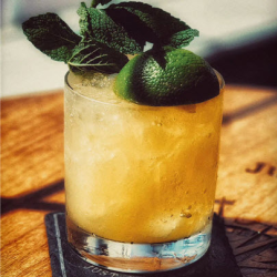 Tiki Tuesday