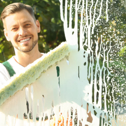 Window Cleaning Services