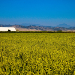 Country Home Loans