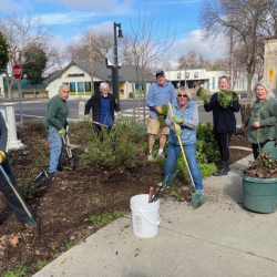 Civic Beautification