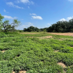 Lot-Lands Properties