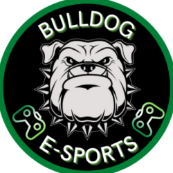 VVHS eSports
