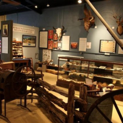 Museum