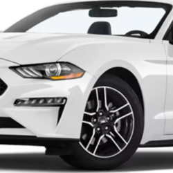 Long-Term Car Rental