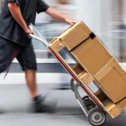 Delivery 
