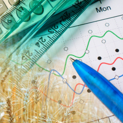 Auditing and Accounting Services