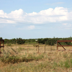 Farm and Ranch Properties