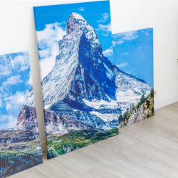 Canvas Prints
