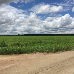 Fertilizer Grade Micronutrients