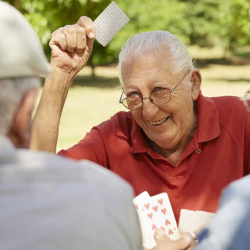 Life Enrichment Activities