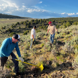 Trail Maintenance