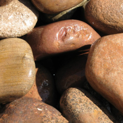 Decorative Rocks