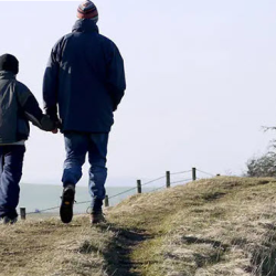 Co-Occurring and Dual Diagnosis Services in Illinois