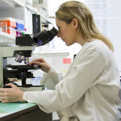 Laboratory 