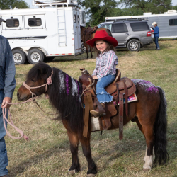 Horse Boarding