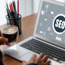 Search Engine Optimization (SEO)