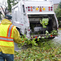 Storm Cleanup