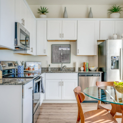 Granite Countertops with Undermount Kitchen Sinks