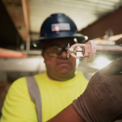 Fire Sprinkler