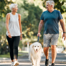 Health Savings Accounts