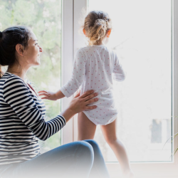Home Insurance