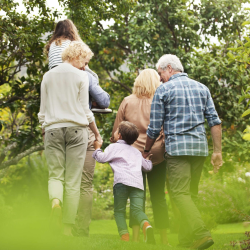 Whole Life Insurance