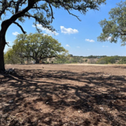 Land Clearing