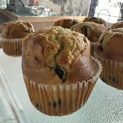 Blueberry Muffins