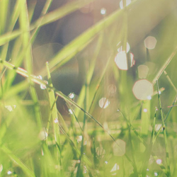 Caring for the Deceased