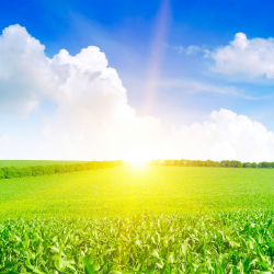 Agricultural Facility Leasing