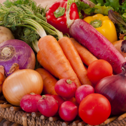 Food Processing Equipment