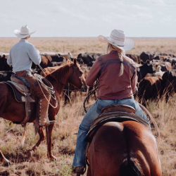 Real Estate including Ranch Purchase